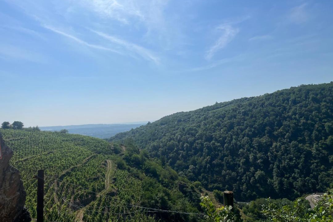 Photo of Others in Malleval