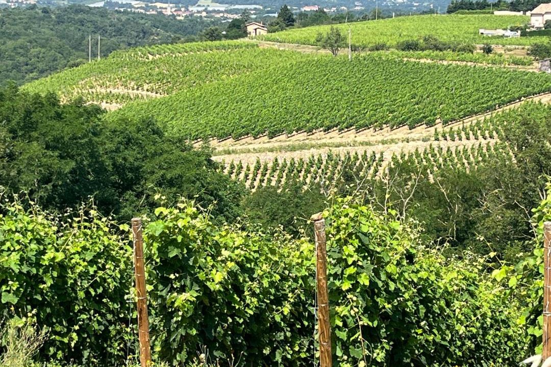 Photo of Others in Malleval