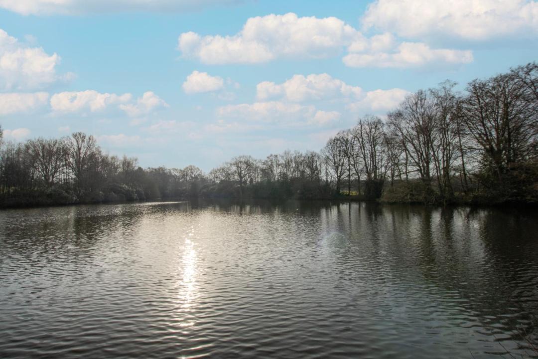 Photo of Others in Worth