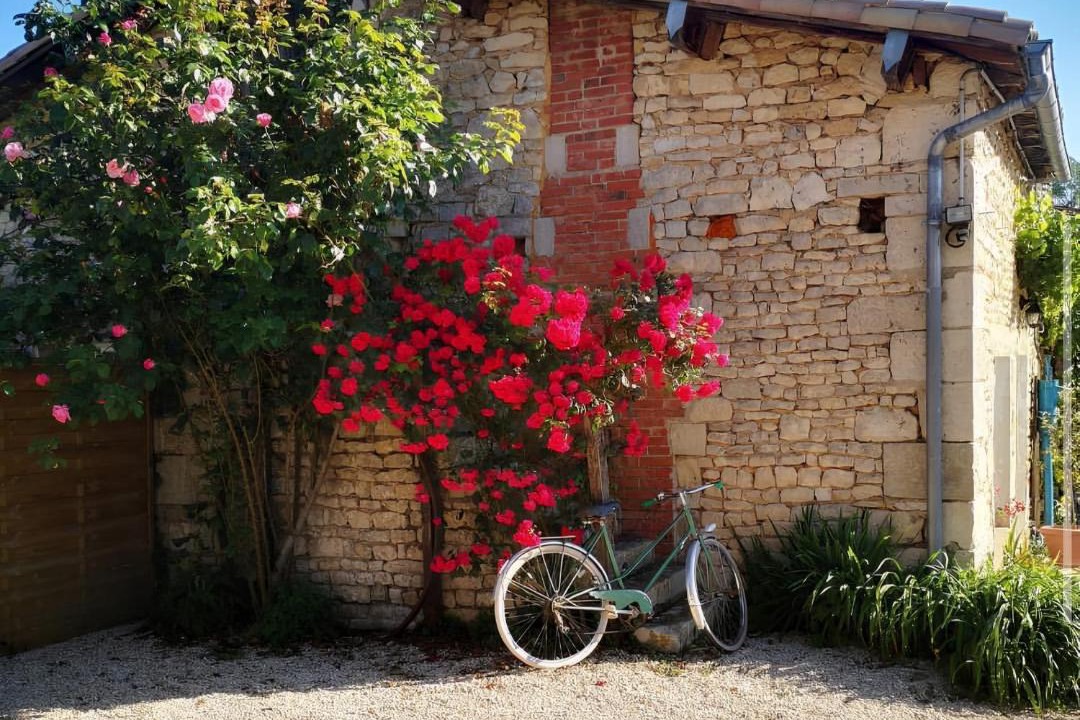 Photo of Others in Echire