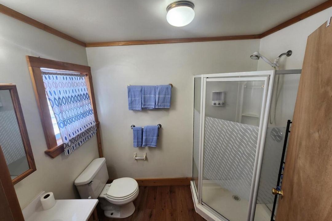 Photo of Bathroom in Laurium