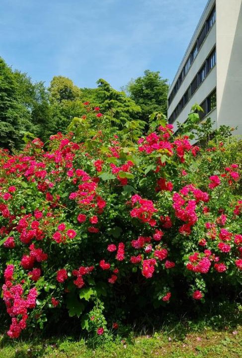 Photo of Others in Vaux-le-Penil