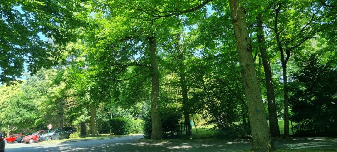 Photo of Outdoor in Vaux-le-Penil