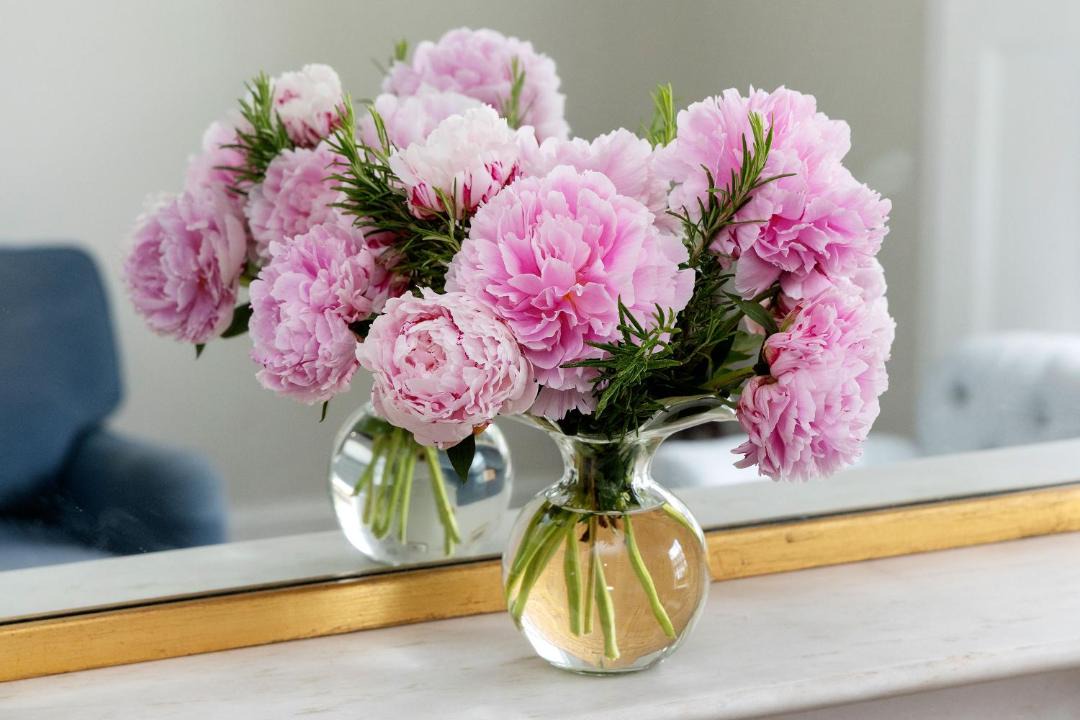 Photo of Others in Oval