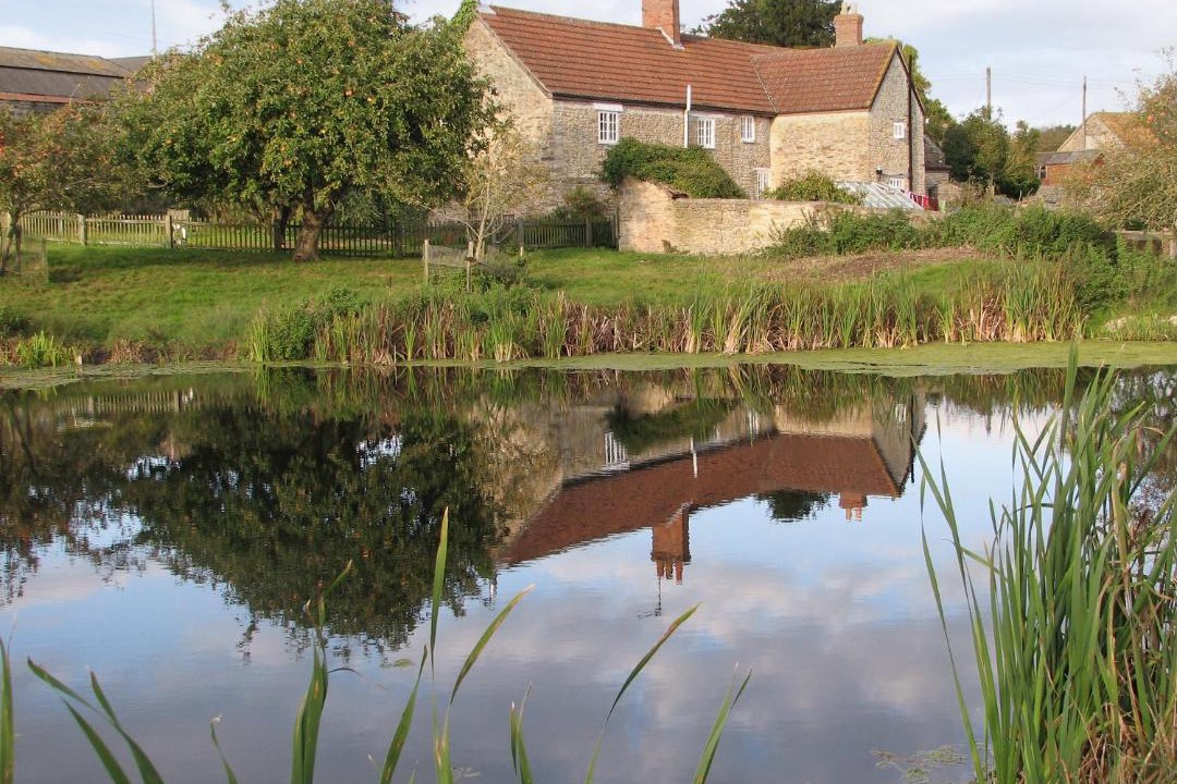 Photo of Others in Sherborne