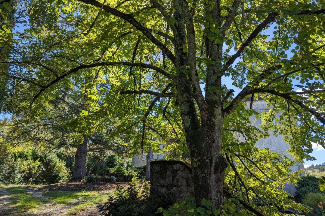 Photo of Others in Saint-Vincent-Rive-d'Olt