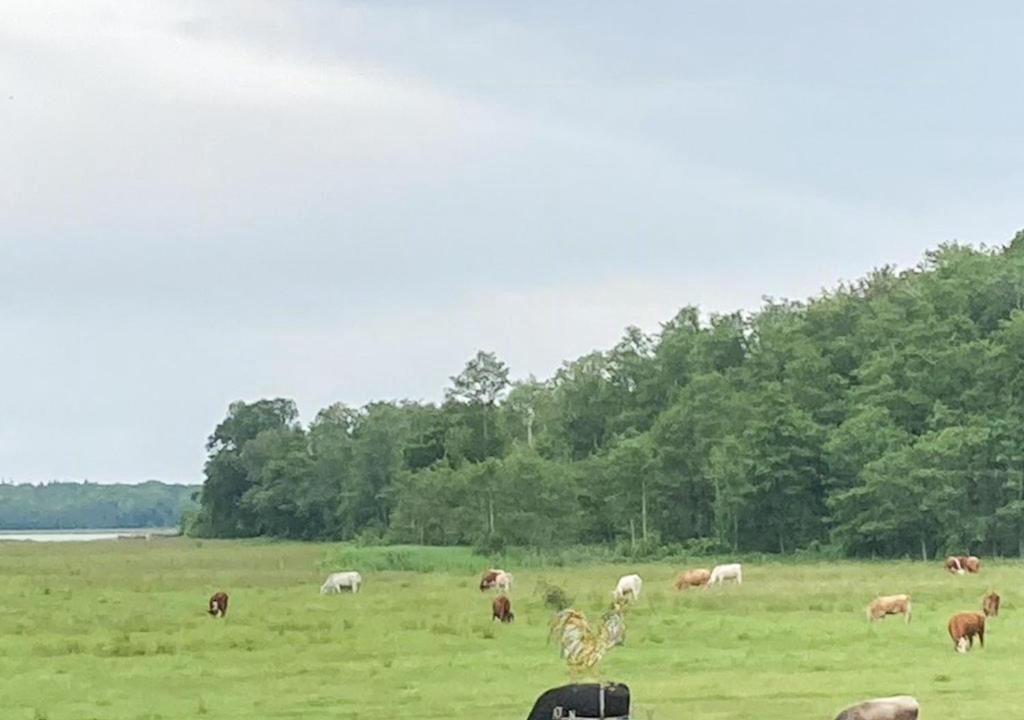Photo of Others in Jægerspris