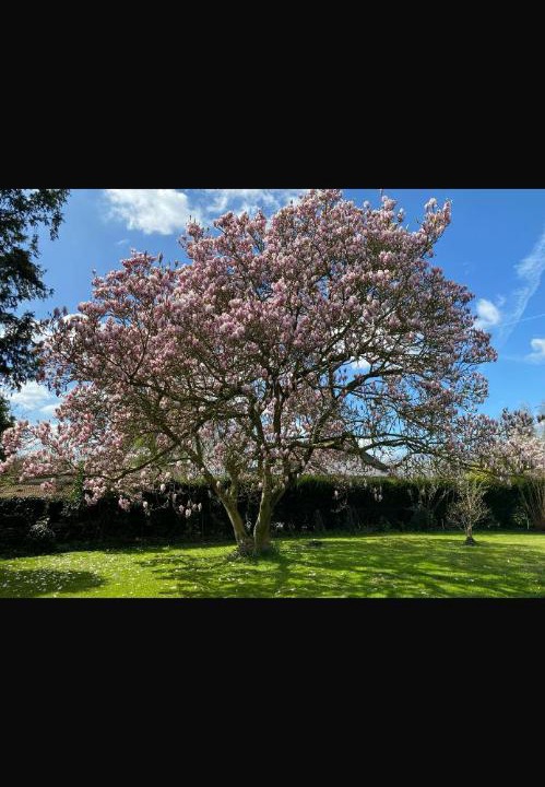 Photo of Others in Lecelles
