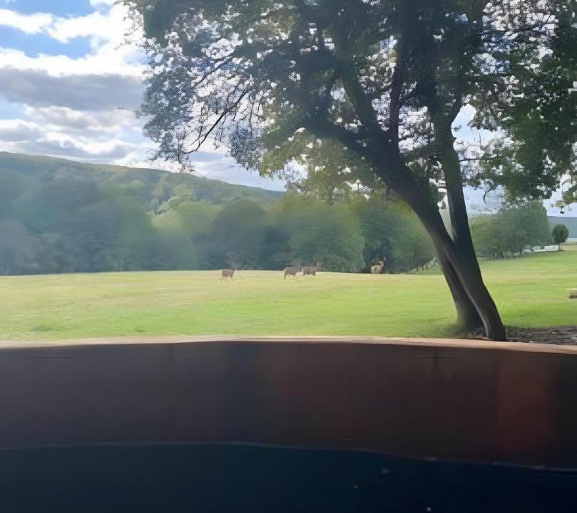 Photo of Others in Arc-en-Barrois