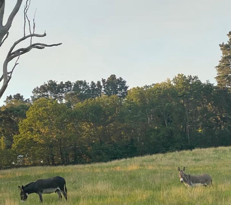 Photo of Others in Bowral
