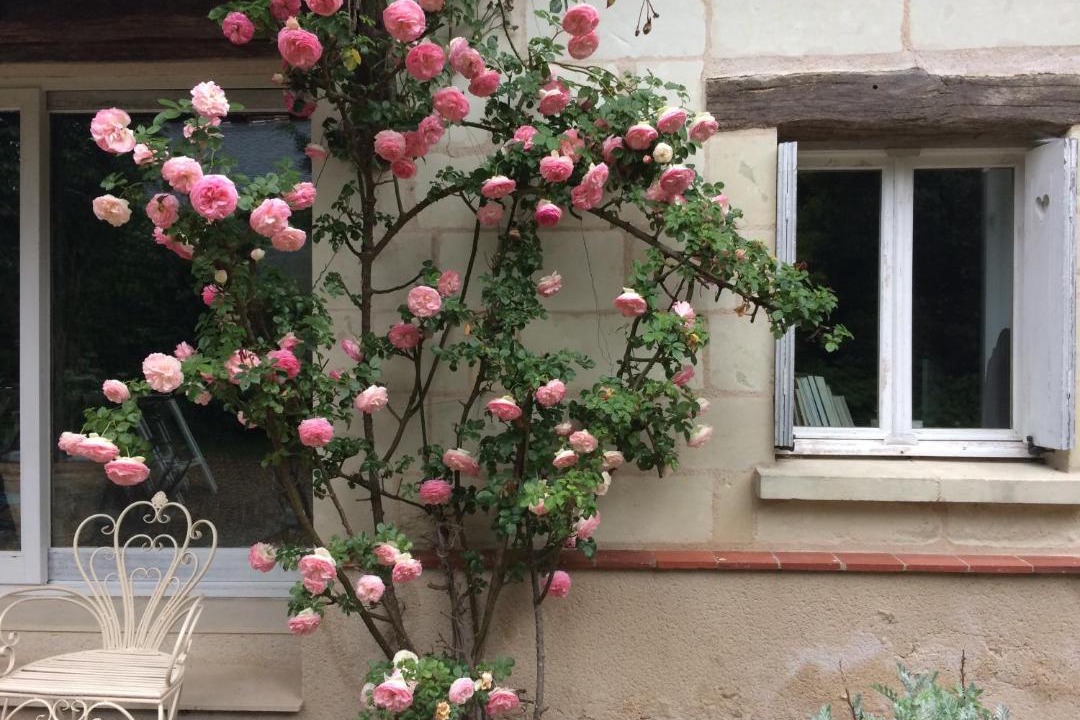 Photo of Others in Berthenay