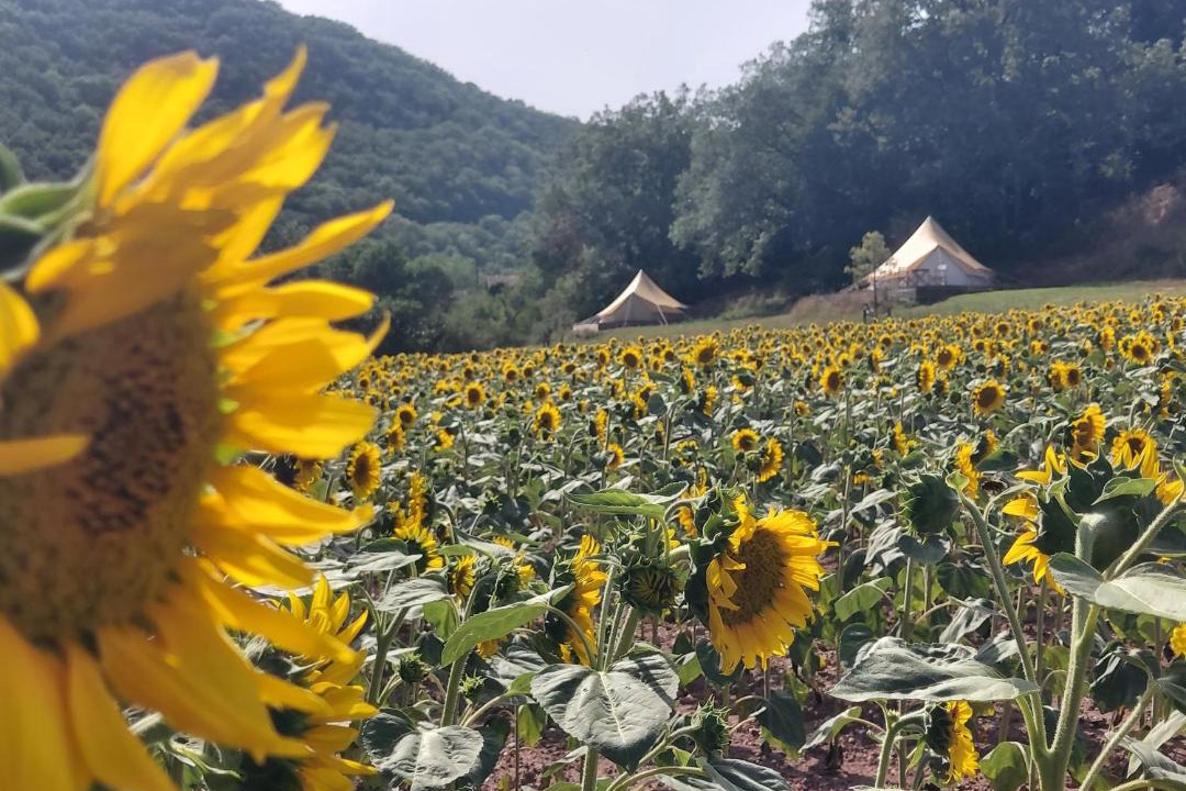 Photo of Outdoor in Combret