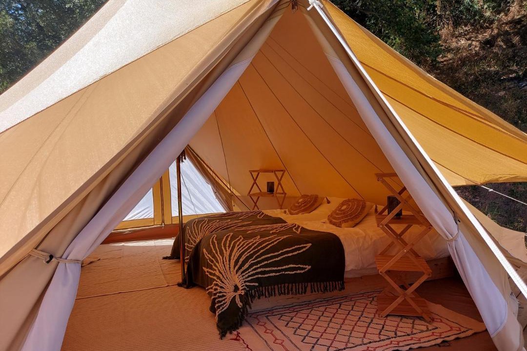 Photo of Others in Combret