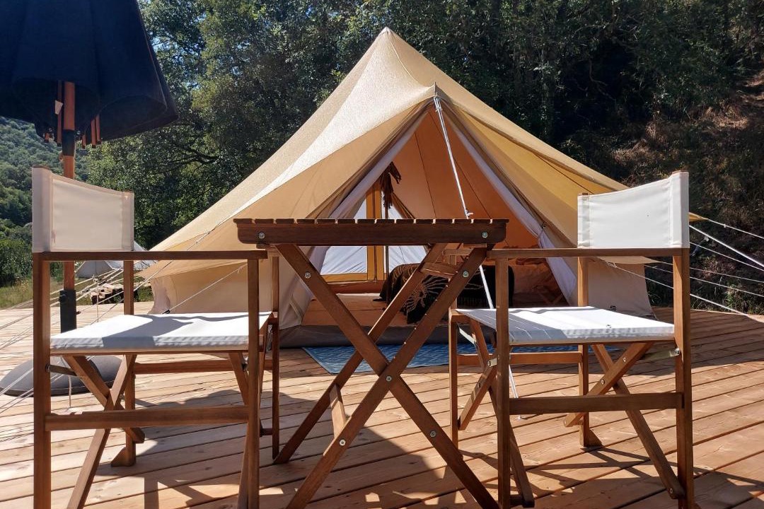 Photo of Others in Combret