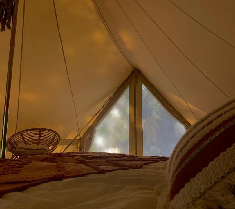 Photo of Others in Combret