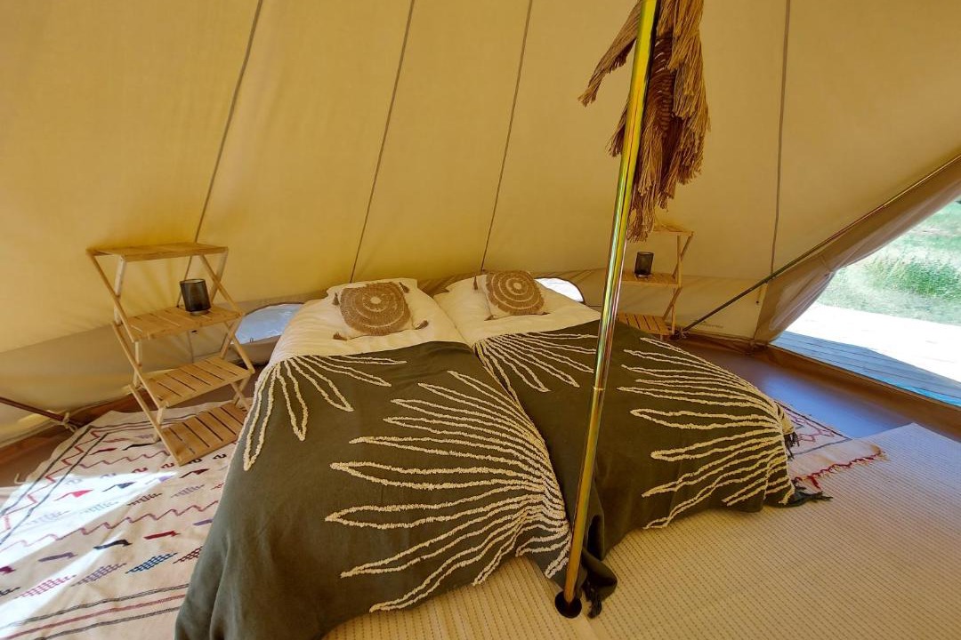 Photo of Others in Combret