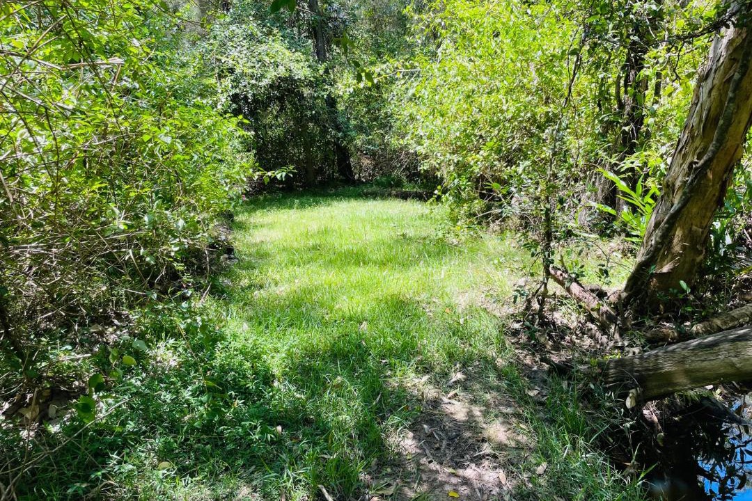 Photo of Others in South Isis