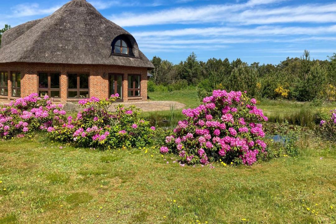 Photo of Others in Skalstrup