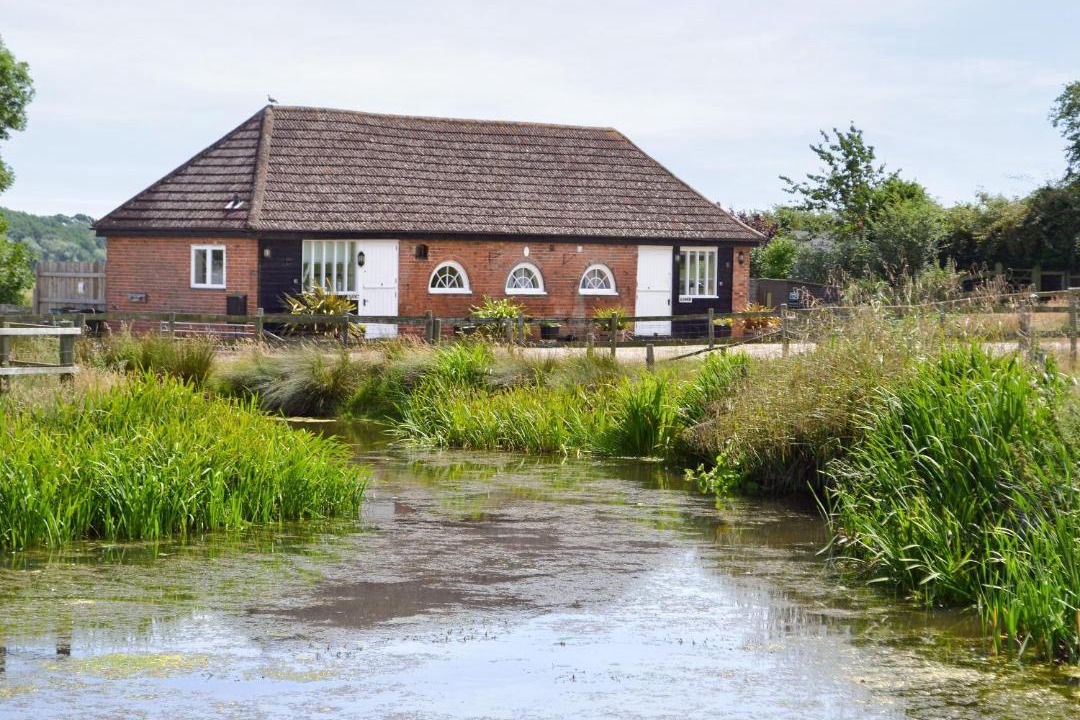 Photo of Others in Rye Foreign