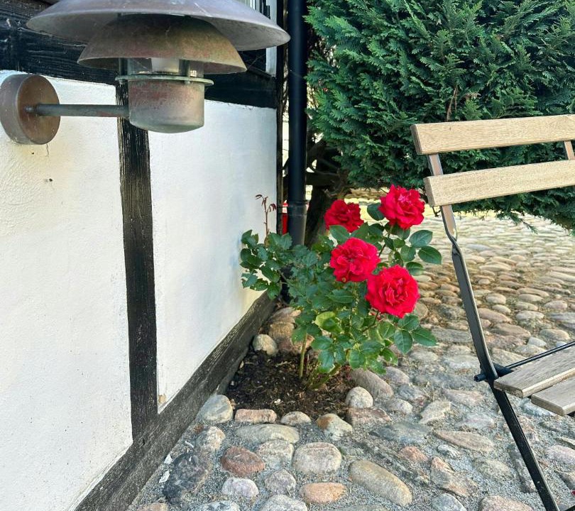 Photo of Others in Syddjurs Kommune