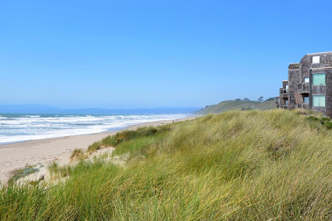 Photo of Others in Pajaro Dunes