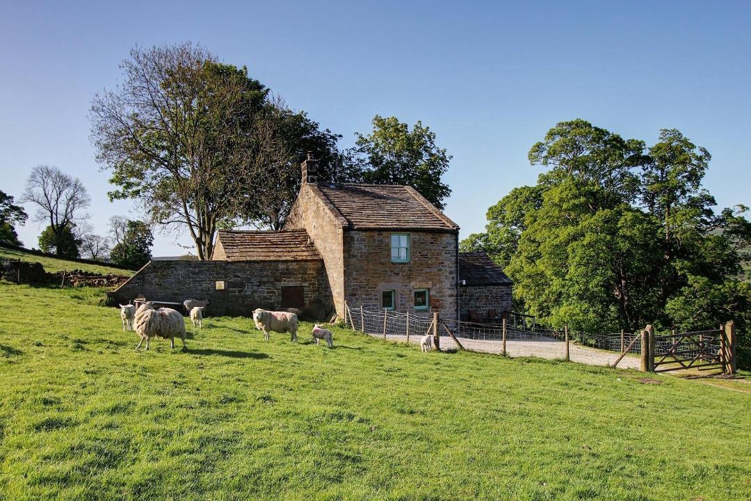 Photo of Others in Lofthouse