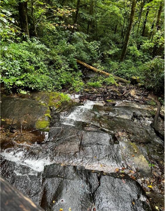 Photo of Others in Bryson City
