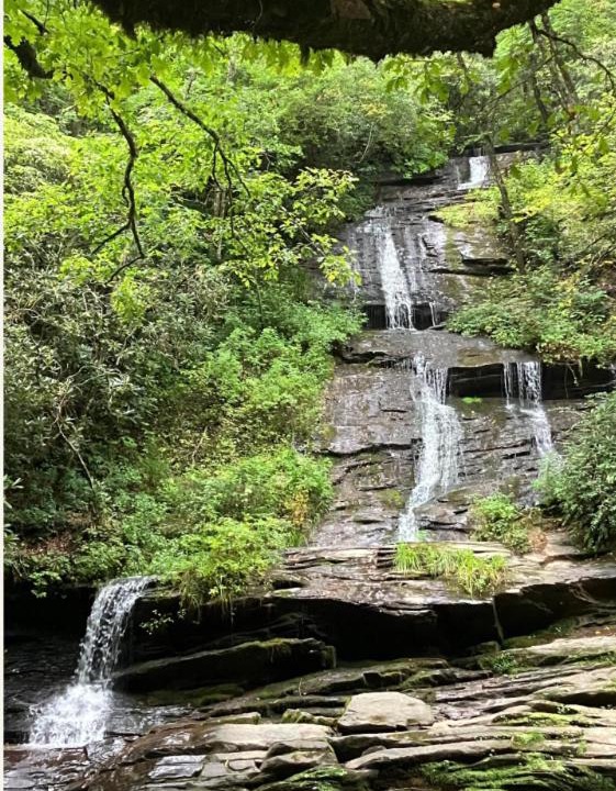 Photo of Others in Bryson City