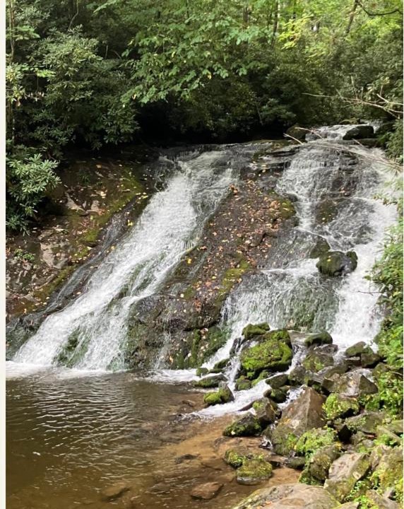 Photo of Others in Bryson City