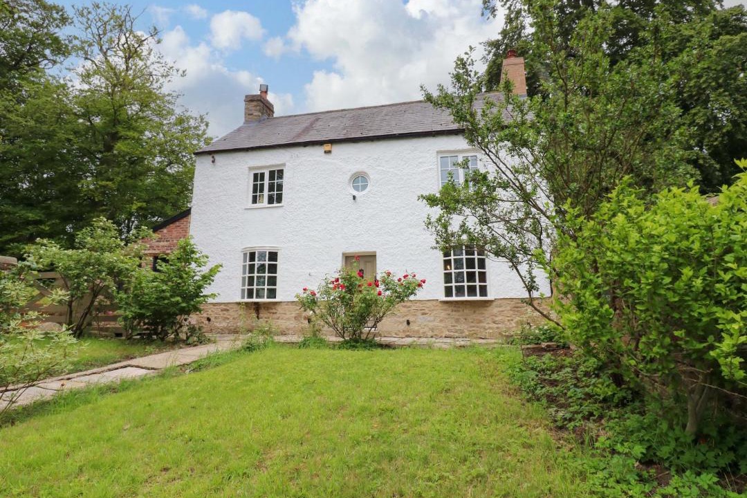 Photo of Others in Durham