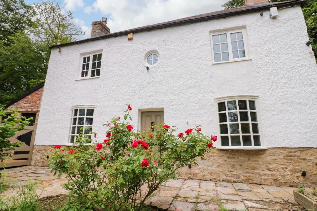 Photo of Others in Durham