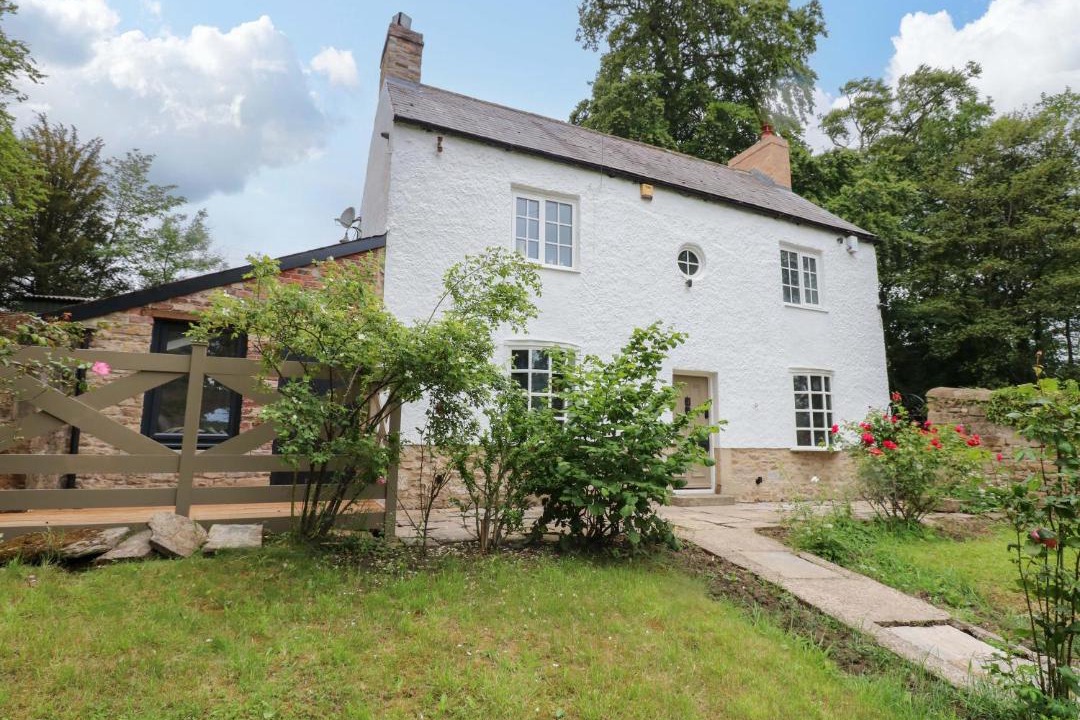 Photo of Others in Durham