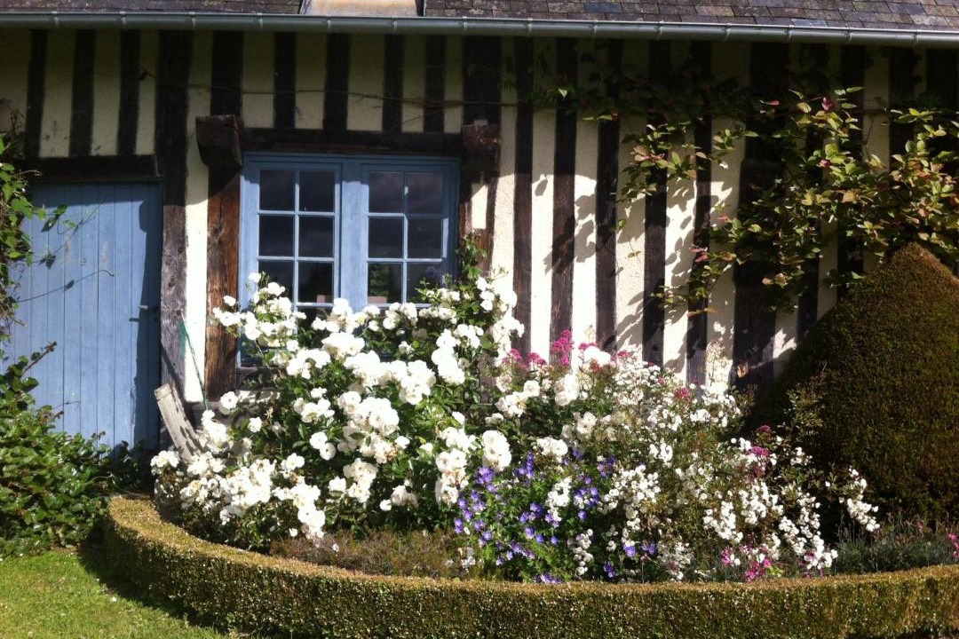 Photo of Others in Vieux-Bourg