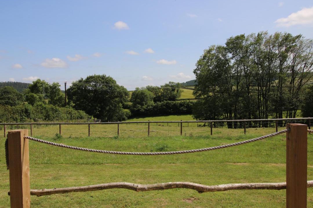 Photo of Others in Hopton Castle