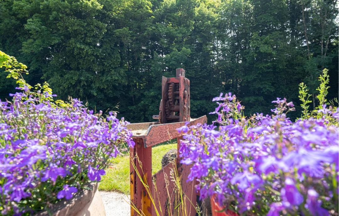 Photo of Others in Escles