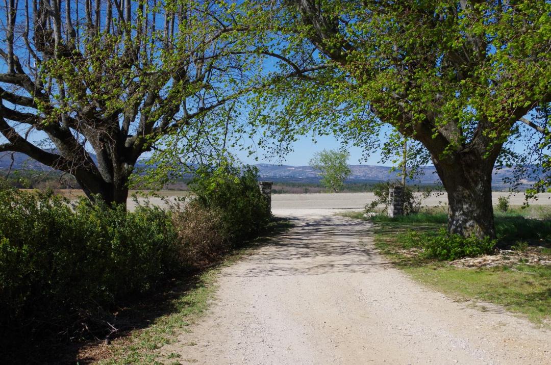 Photo of Others in Ferrassieres