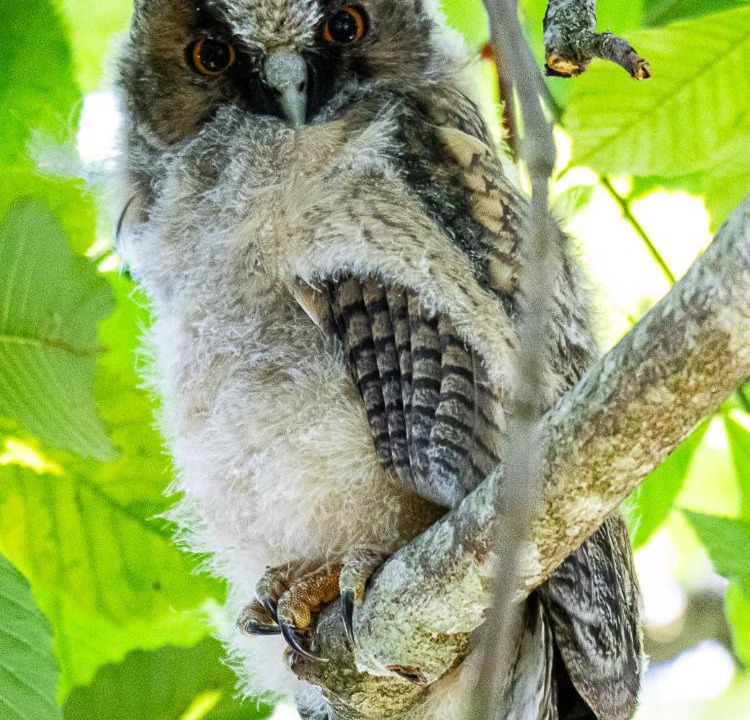 Photo of Others in Saint-Maurice-pres-Pionsat