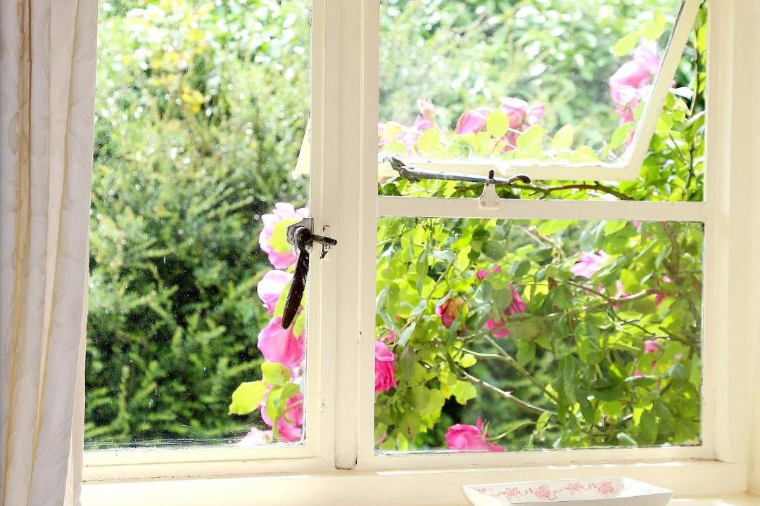 Photo of Others in Eastling