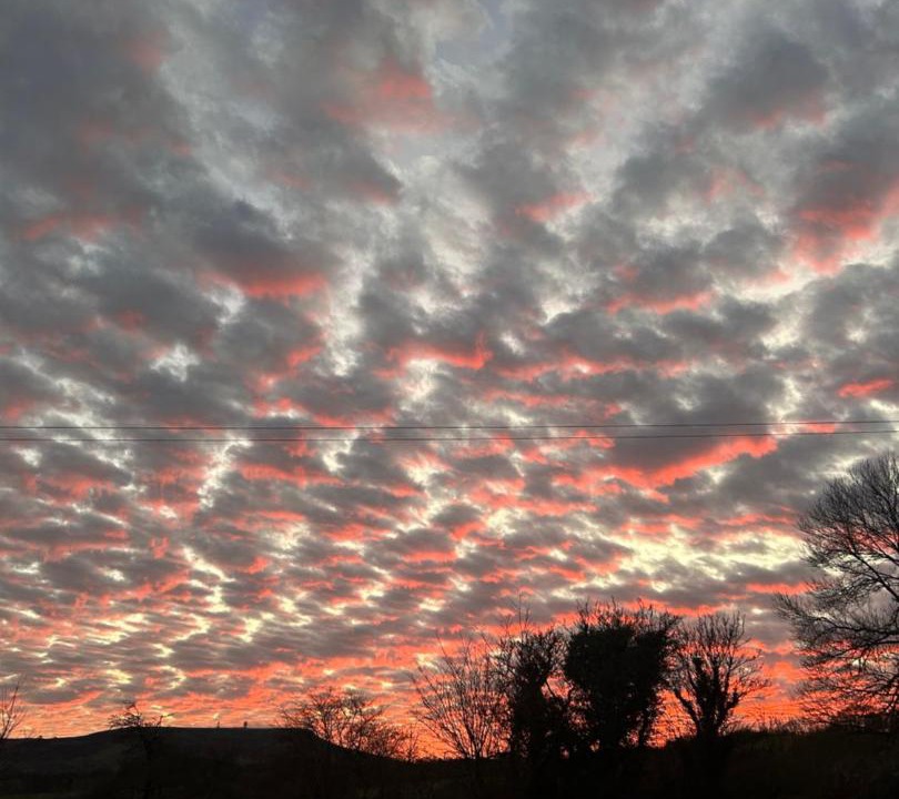 Photo of Others in Angelbank