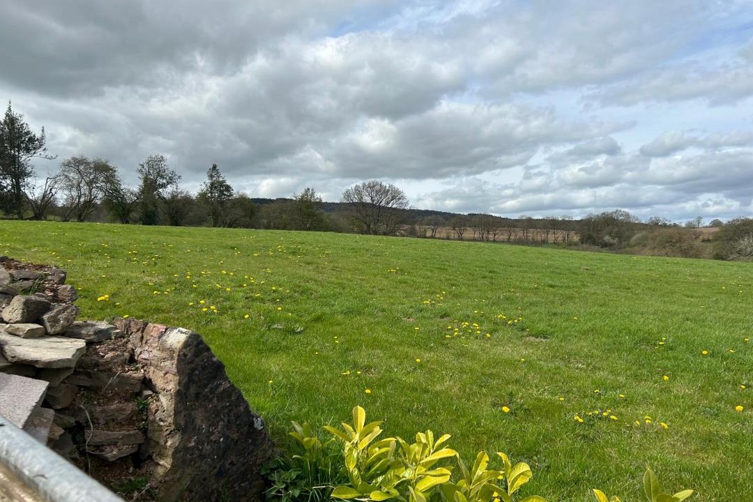 Photo of Others in Angelbank