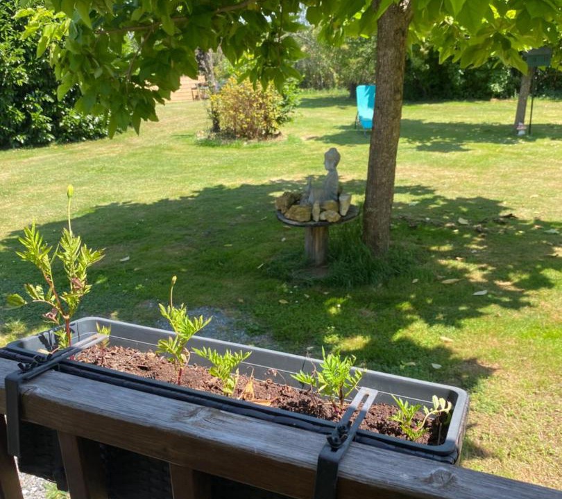 Photo of Others in Paray-le-Fresil