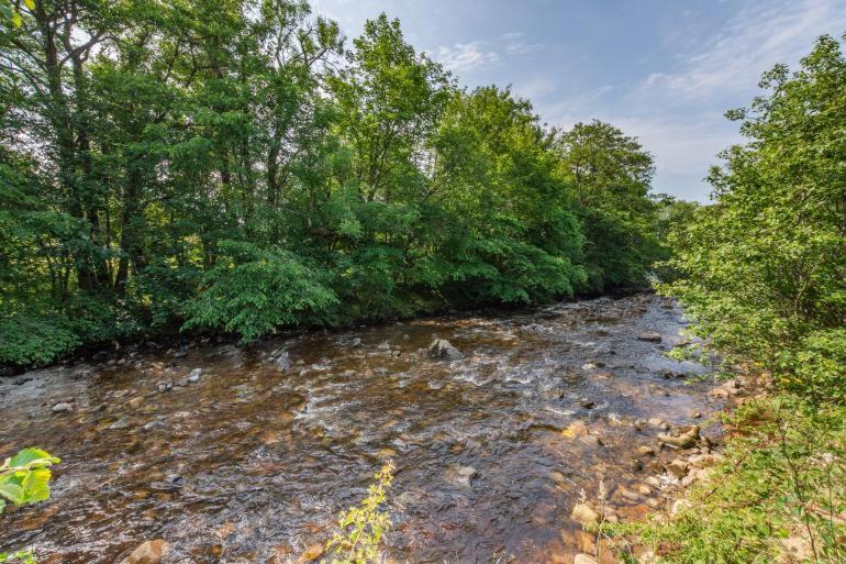 Photo of Others in Cowan Bridge