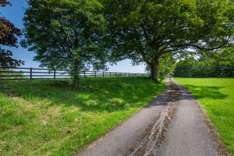 Photo of Others in Cowan Bridge