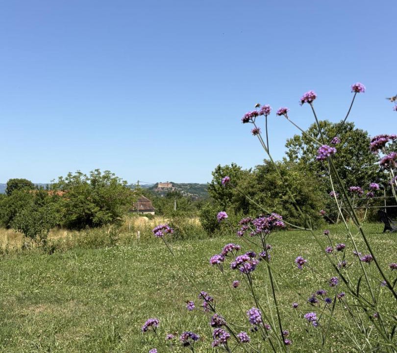 Photo of Outdoor in Loubressac