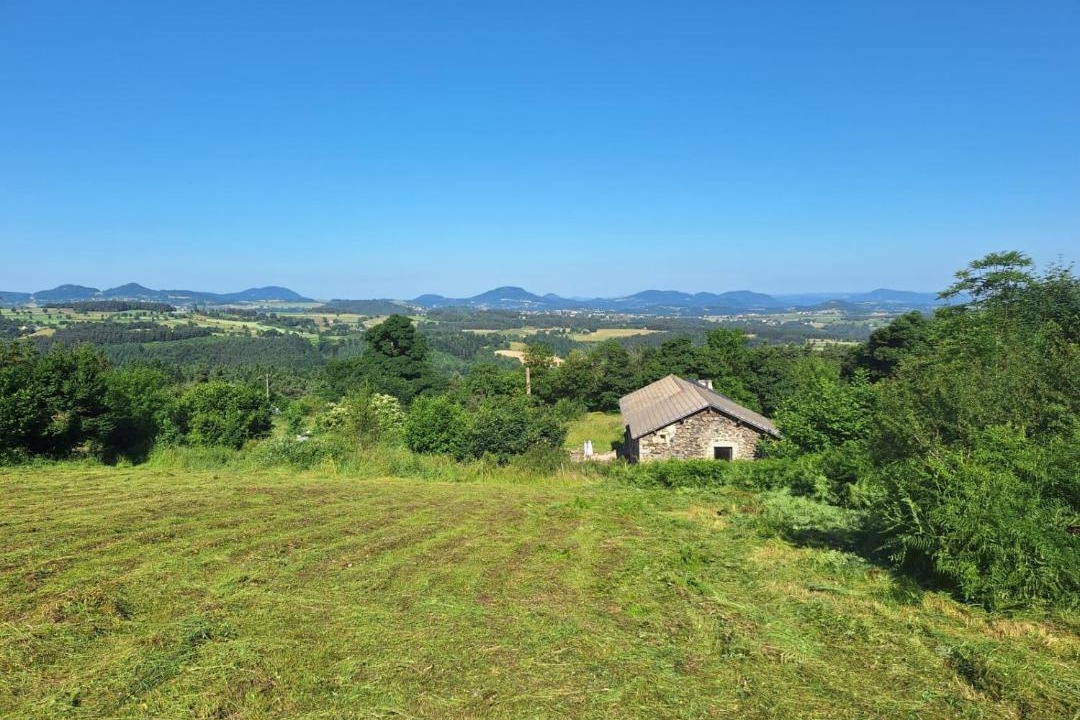 Photo of Others in Yssingeaux