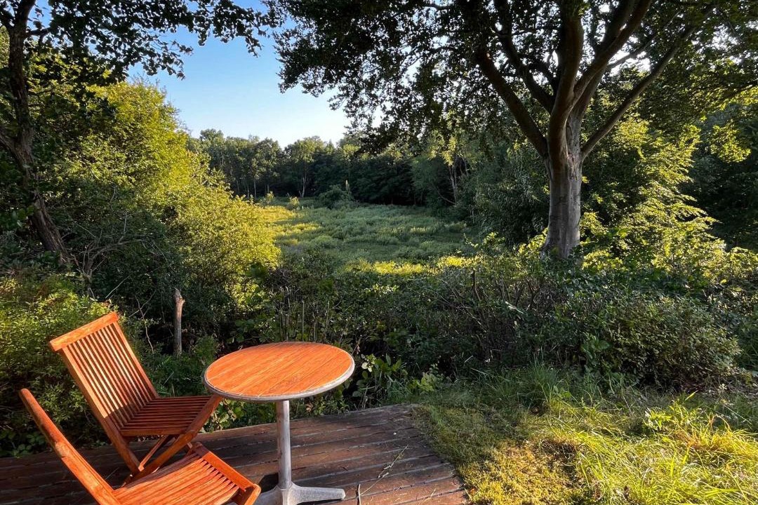 Photo of Others in Tikob