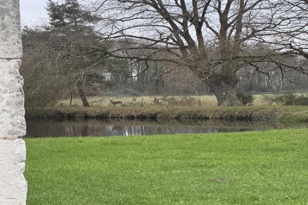 Photo of Others in Aubigne-Racan