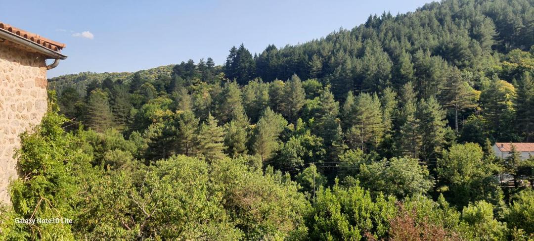 Photo of Others in Blaunac