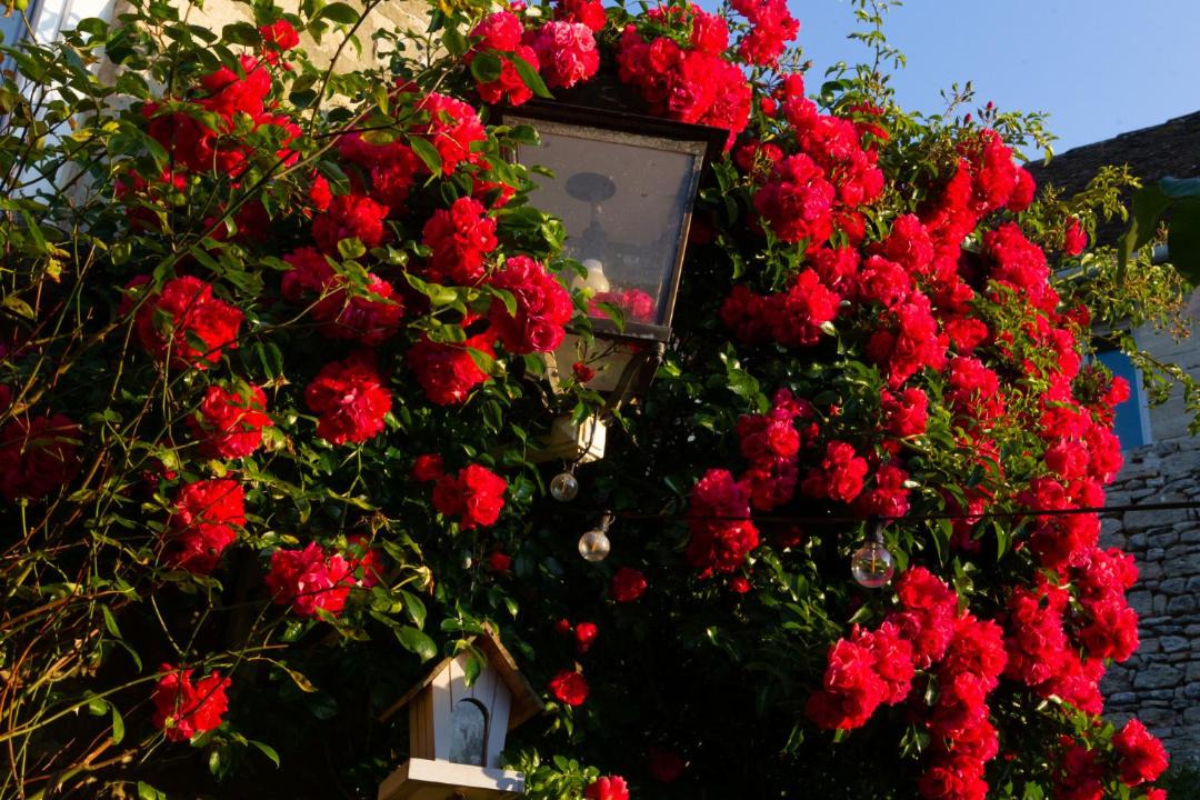 Photo of Others in Saint-Gervais