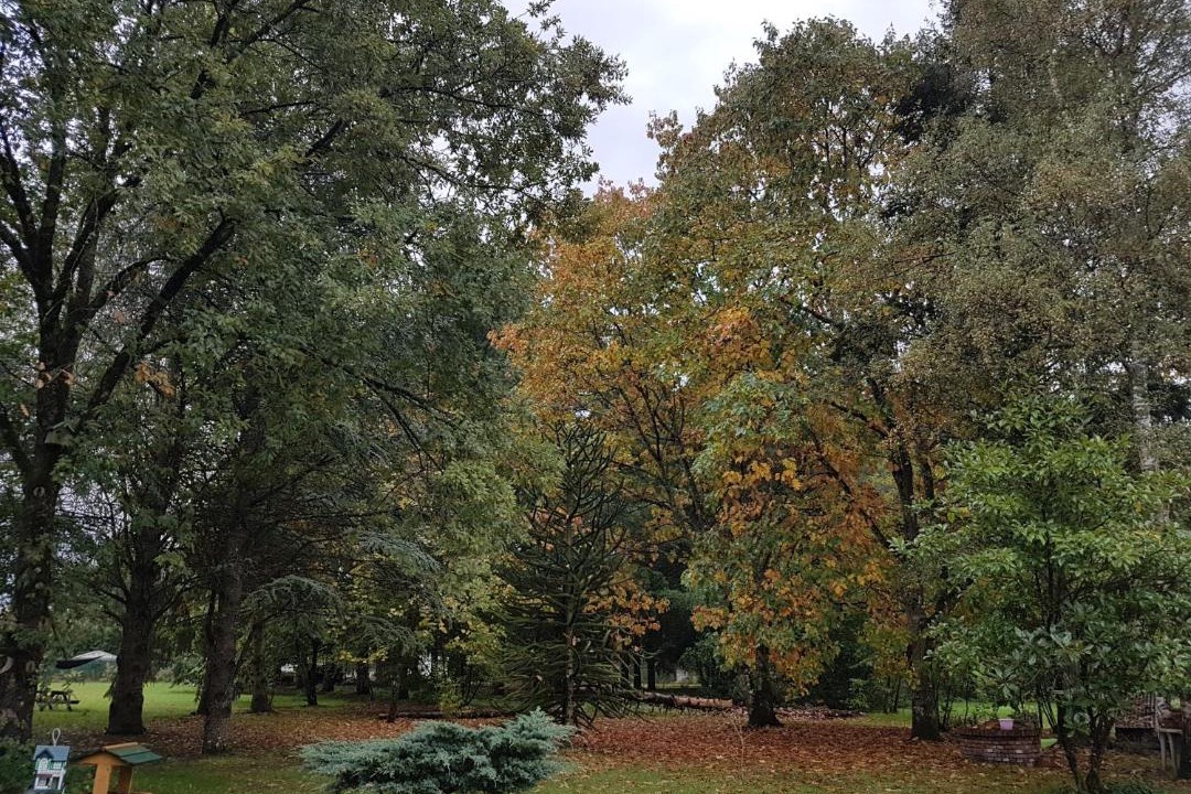 Photo of Outdoor in Vouzon